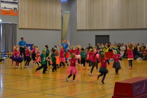 Krudtuglernes opvisning 2013