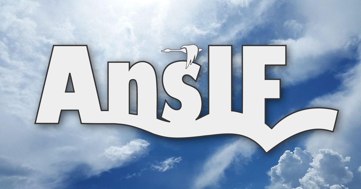 ANS IF logo